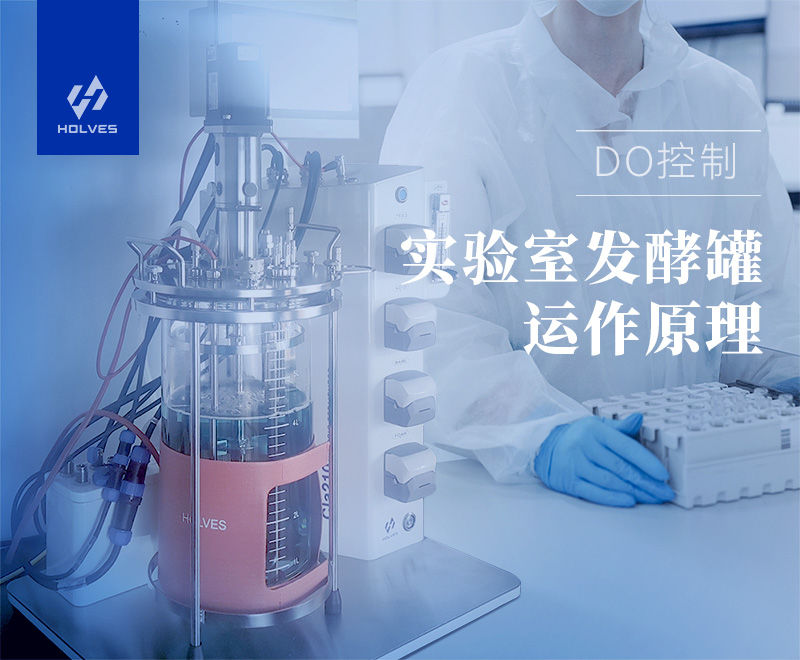 實驗室發酵罐 實驗室發酵罐