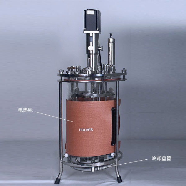 霍爾斯(HOLVES)實驗發酵罐 霍爾斯(HOLVES)實驗發酵罐